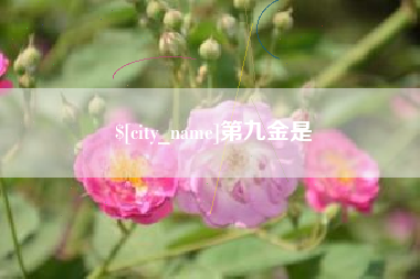 无棣第九金是