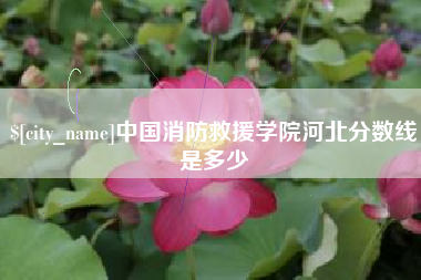 无棣中国消防救援学院河北分数线是多少