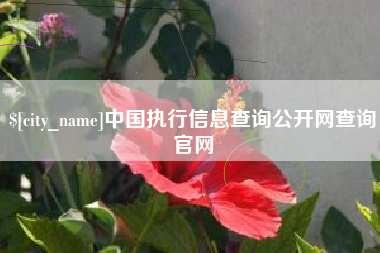 无棣中国执行信息查询公开网查询官网