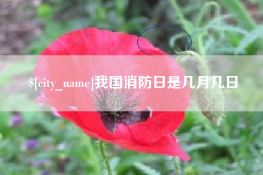 无棣我国消防日是几月几日