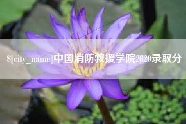 无棣中国消防救援学院2020录取分