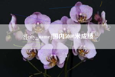 无棣国内5000米成绩