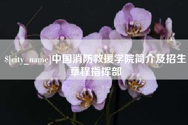 无棣中国消防救援学院简介及招生章程指挥部