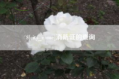 无棣消防证的查询