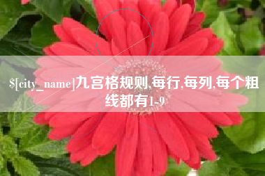 无棣九宫格规则,每行,每列,每个粗线都有1-9