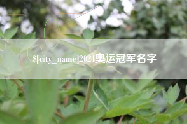 无棣2024奥运冠军名字