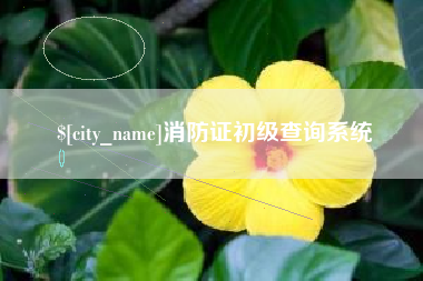 无棣消防证初级查询系统