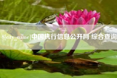 无棣中国执行信息公开网 综合查询