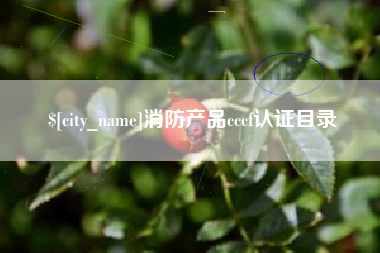 无棣消防产品cccf认证目录