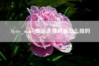 无棣奥运金牌榜是怎么排的