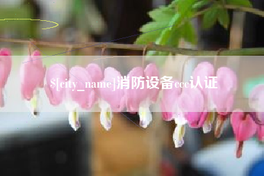 无棣消防设备ccc认证
