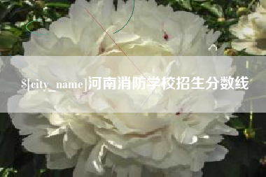 无棣河南消防学校招生分数线