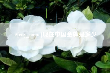 无棣现在中国金牌是多少