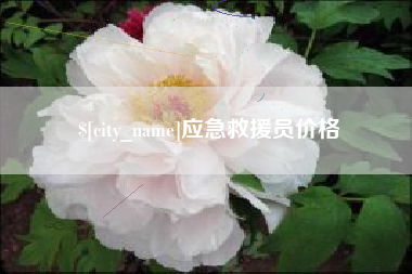 无棣应急救援员价格