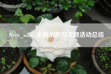 无棣全国消防日主题活动总结