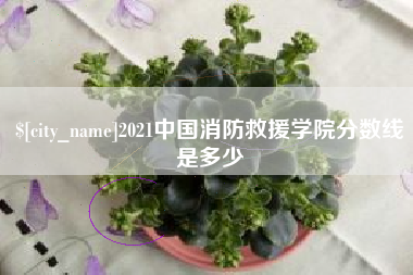 无棣2021中国消防救援学院分数线是多少