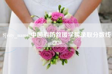无棣中国消防救援学院录取分数线2020