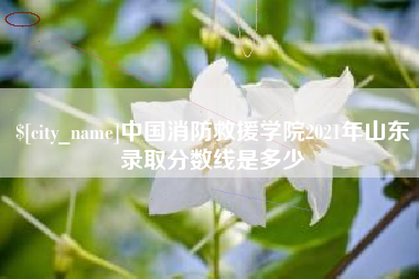 无棣中国消防救援学院2021年山东录取分数线是多少