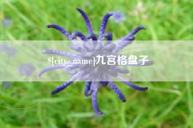 无棣九宫格盘子