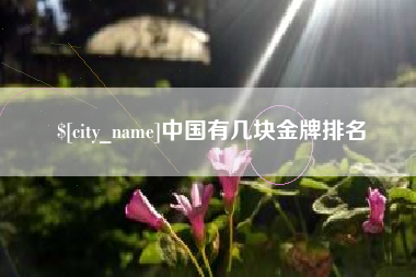 无棣中国有几块金牌排名