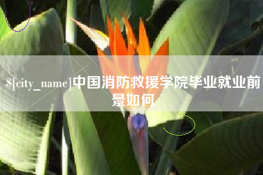 无棣中国消防救援学院毕业就业前景如何