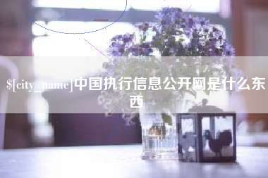 无棣中国执行信息公开网是什么东西