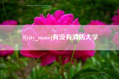 无棣有没有消防大学