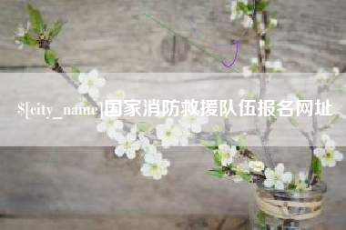 无棣国家消防救援队伍报名网址