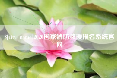 无棣2020国家消防救援报名系统官网