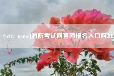 无棣消防考试网官网报名入口网址