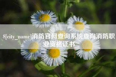 无棣消防官网查询系统查询消防职业资格证书