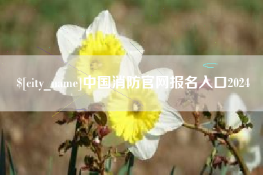 无棣中国消防官网报名入口2024
