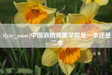 无棣中国消防救援学院是一本还是二本