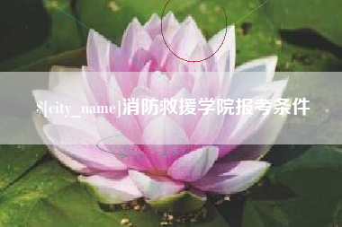 无棣消防救援学院报考条件