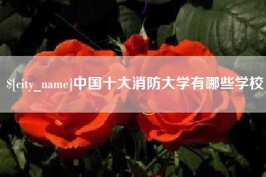 无棣中国十大消防大学有哪些学校
