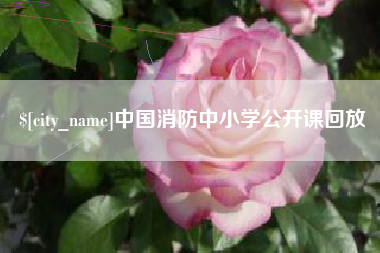 无棣中国消防中小学公开课回放