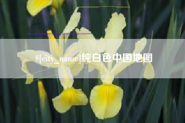 无棣纯白色中国地图