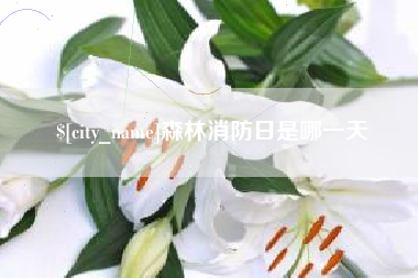 无棣森林消防日是哪一天