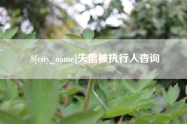 无棣失信被执行人杳询
