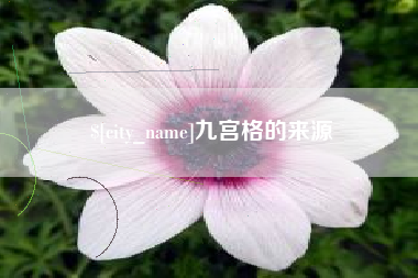 无棣九宫格的来源