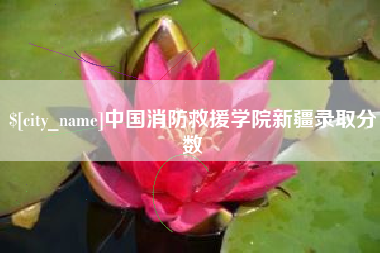 无棣中国消防救援学院新疆录取分数