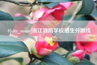 无棣浙江消防学校招生分数线