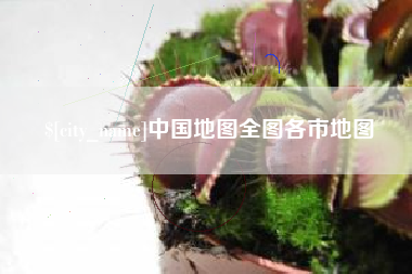 无棣中国地图全图各市地图