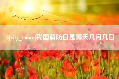 无棣我国消防日是哪天几月几日