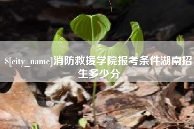无棣消防救援学院报考条件湖南招生多少分