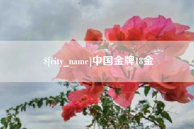无棣中国金牌18金