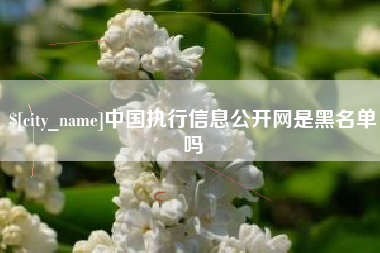 无棣中国执行信息公开网是黑名单吗