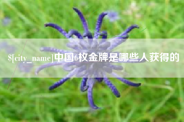 无棣中国6枚金牌是哪些人获得的