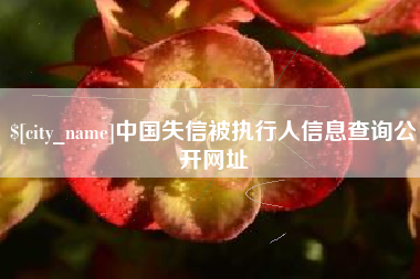 无棣中国失信被执行人信息查询公开网址