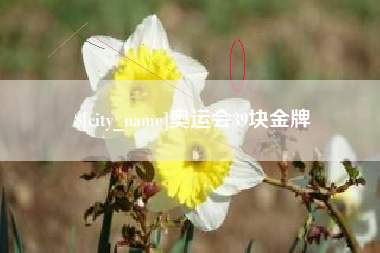 无棣奥运会39块金牌